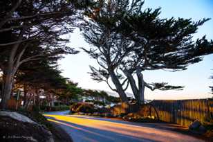 Carmel Scenic Drive-8018